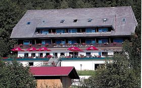 Hotel Großbach Menzenschwand