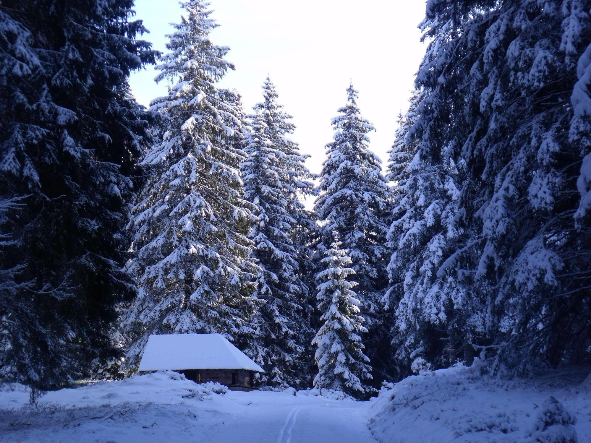 Hotel Großbach Menzenschwand-Hinterdorf Exterior foto
